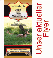 Unser aktueller Flyer